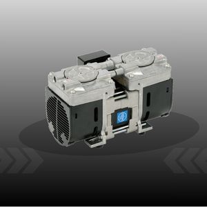 MODEL: DAP